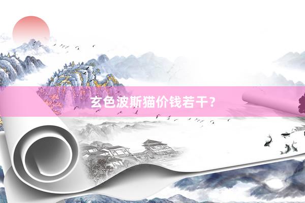 玄色波斯猫价钱若干？
