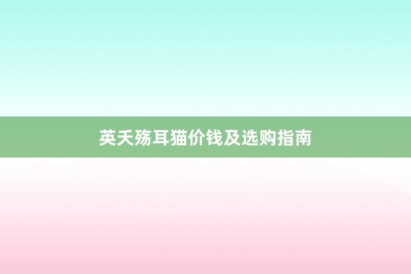 英夭殇耳猫价钱及选购指南