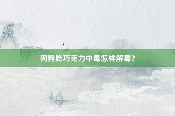狗狗吃巧克力中毒怎样解毒？